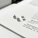 купить серебряное изделие Серебряные серьги-пусеты с фианитами &ndash; элегантность и блеск в каждой детали фото 3 - фотография из каталога